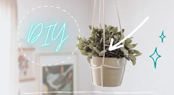Kwietnik ze sznurka jutowego: Zrób to sam! Prosty poradnik DIY