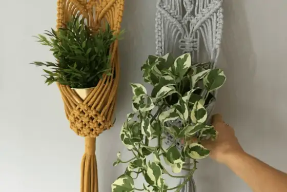 Makrama kokon: Jak zrobić wiszący kwietnik DIY? Pełny poradnik